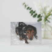 Dachshund dans la carte postale de neige (Debout devant)