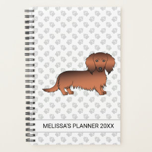 Dachshund de dessin animé à poil long rouge sablé