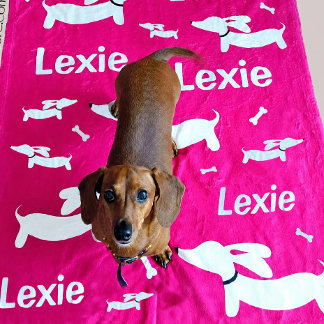 Dachshund Deken Roze Gepersonaliseerd Doxie Cadeau
