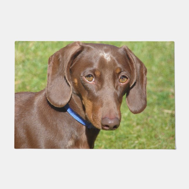 Dachshund Deurmat (Voorkant)