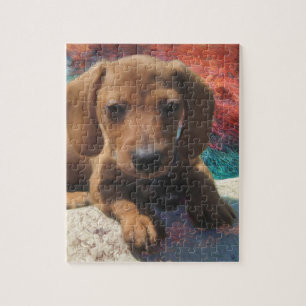 Dachshund - Dog Art - Schilderen - Pet Portret Legpuzzel