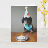 Dachshund Dog Carte d'anniversaire (Fleur jaune)