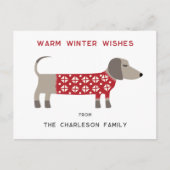 Dachshund Dog Fun Feestdagenkaart (Voorkant)