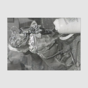  Dachshund Dog met Pipe & Beer Tissuepapier