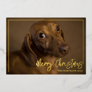 Dachshund Dog met Stocking Merry-kerstfoto Folie Feestdagenkaart