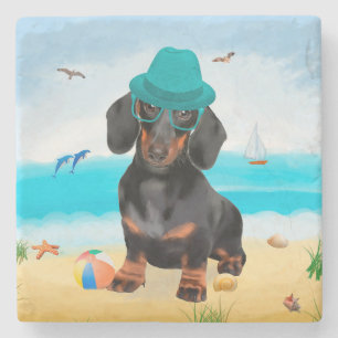 Dachshund Dog op strand Stenen Onderzetter