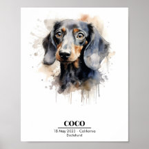 Dachshund Dog Poster