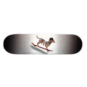 Dachshund Dog Skateboarder Skateboard