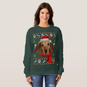 Dachshund Dog Ugly kerst Trui (Voorkant volledig)