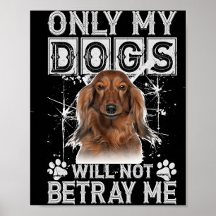 Dachshund Dog zal me geen cadeaus geven Poster
