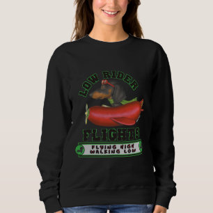 Dachshund Dogs Black Dachshund in Wiener Plane Trui