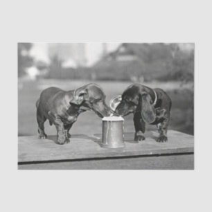 Dachshund Dogs Drink Beer Tissuepapier