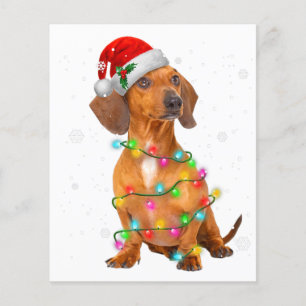 Dachshund Dogs Tree kerstSweater Xmas Giften P Flyer