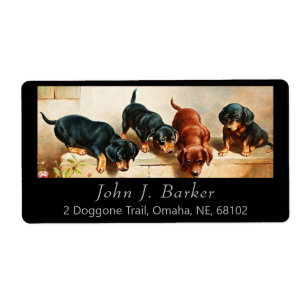  Dachshund Doxie Puppies Kunstlabel Etiket