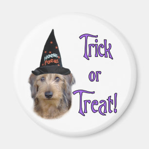 Dachshund (draad) Trick Magneet