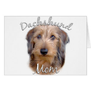 Dachshund (draadhaar) Moeder 2