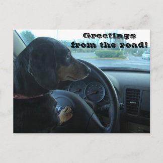Dachshund-Driven Postcard Briefkaart