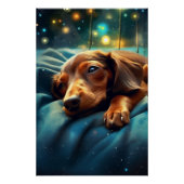 Dachshund Dromen Perfect Poster (Voorkant)