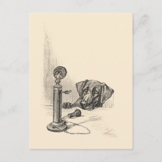 Dachshund en telefoon briefkaart (Voorkant)