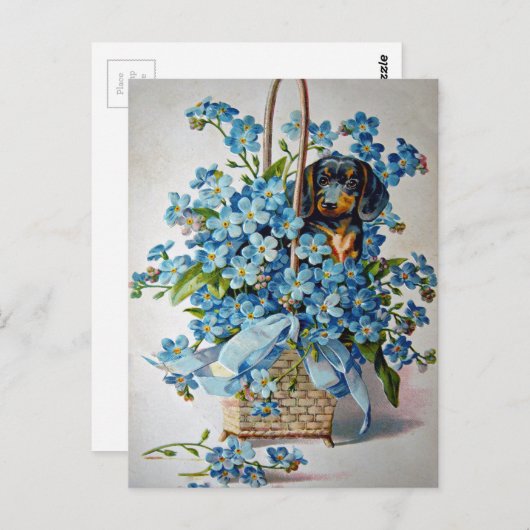 Dachshund en Vergeet-me-Nots Briefkaart (Voorkant / Achterkant)