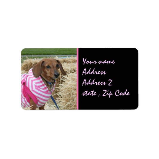 Dachshund Etiket (Voorkant)