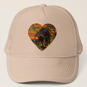 Dachshund Flowers Trucker Pet