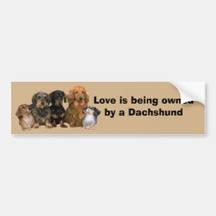 Dachshund Gang Bumpersticker