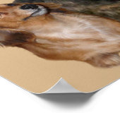 Dachshund Gang Print (Hoek)