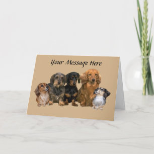 Dachshund Gang Wenskaart Kaart
