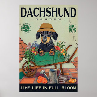 Dachshund Gardening grappig citaat cadeau Poster