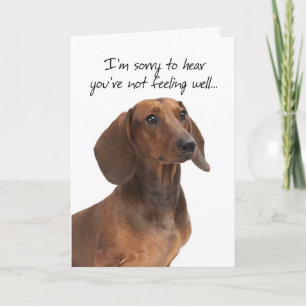 Dachshund Get Well Card Kaart