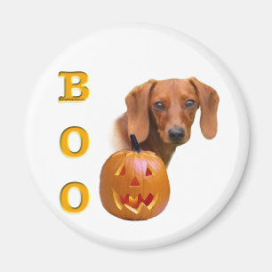 Dachshund (glad) Boo Magneet