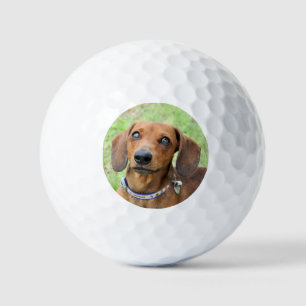 Dachshund Golfballen