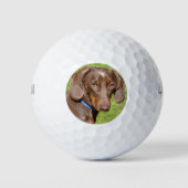 Dachshund Golfballen (Voorkant)