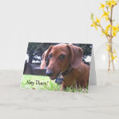 Dachshund Groeten Kaart (Gele Bloem)