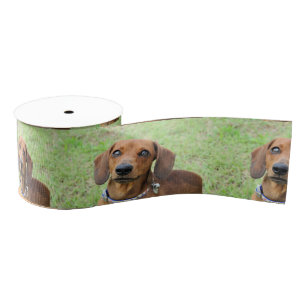 Dachshund Grosgrain Lint