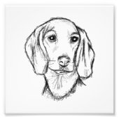 dachshund hand drawn sketch black white puppy dog foto afdruk (Voorkant)