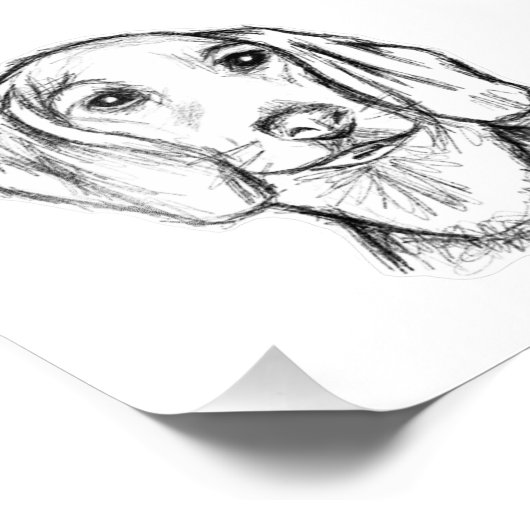 dachshund hand drawn sketch black white puppy dog foto afdruk (Hoek)