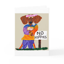 Dachshund hippie bij bordje geen hippies