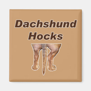 Dachshund Hocks magnet Magneet