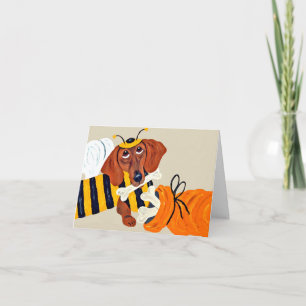 Dachshund hommel met hondenbrokjes
