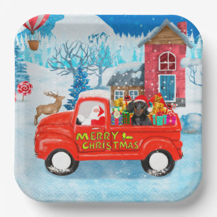 Dachshund-hond in kerstbezorging papieren bordje