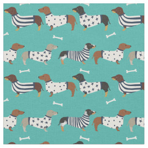 Dachshund-honden in zoetturquoise stof