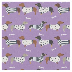 Dachshund-honden in zweet paars stof