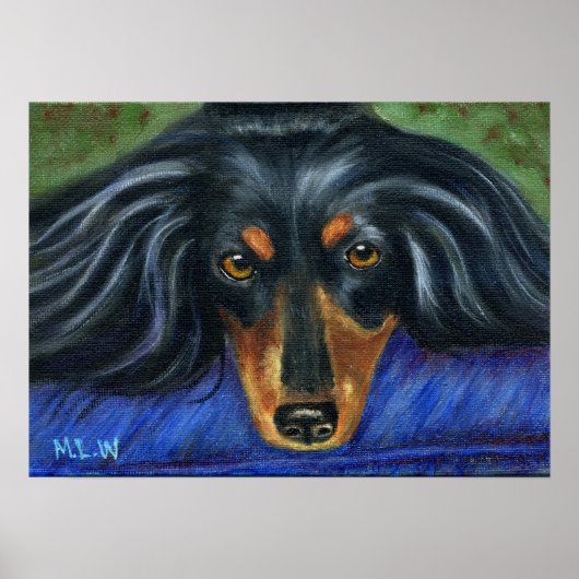 Dachshund Hondenras Art - Hallie Poster (Voorkant)