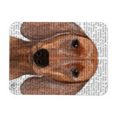 Dachshund Illustration Plain Magneet (Horizontaal)