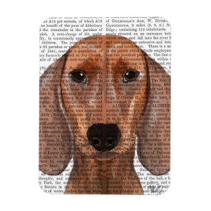 Dachshund Illustration Plain Magneet
