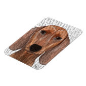 Dachshund Illustration Plain Magneet (Linkerzijde)