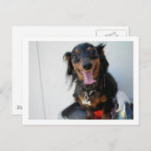 Dachshund in een drink fontein briefkaart (Voorkant / Achterkant)