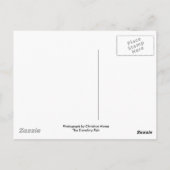 Dachshund in een drink fontein briefkaart (Achterkant)